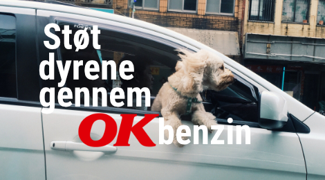 Støt dyrene, når du tanker med OK Benzin