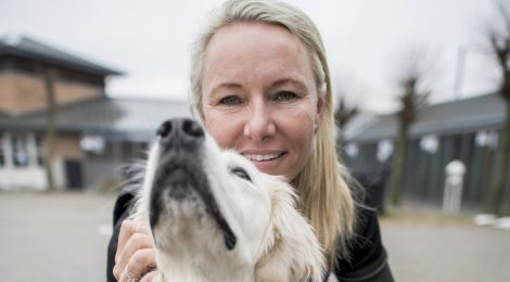 Dyreværnets bestyrelse indstiller