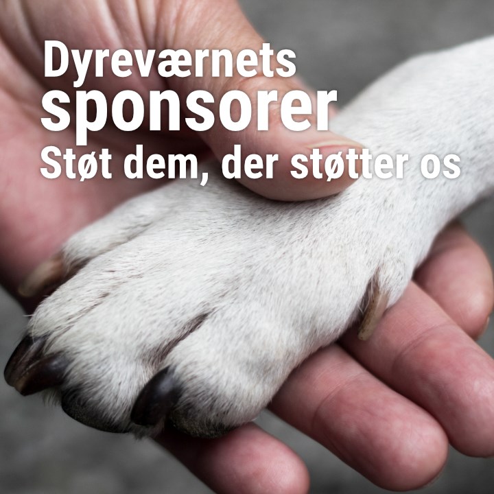 Dyreværnets sponsorer
