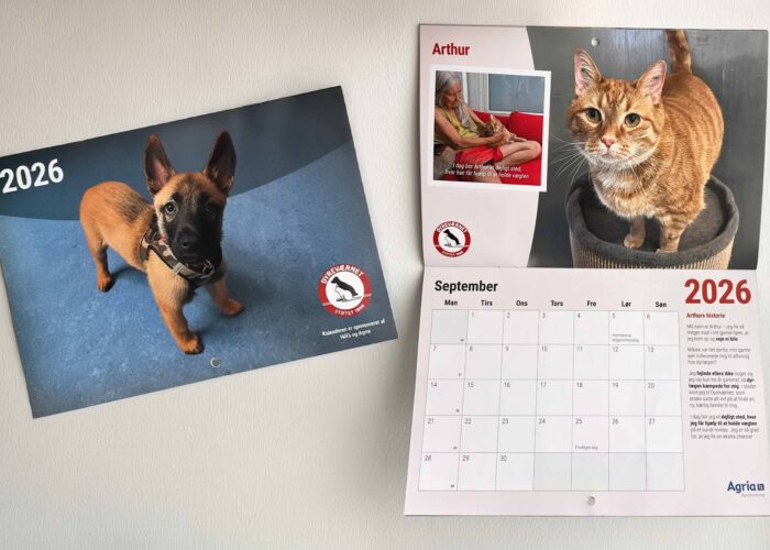 2026 Kalender med dyr